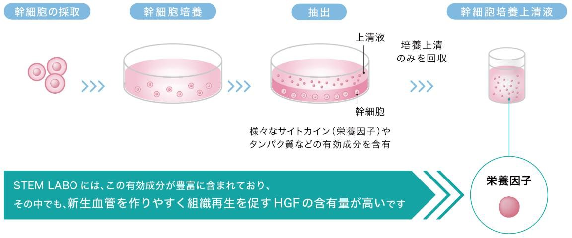 【画像】当院取り扱い幹細胞培養上清液（脂肪幹細胞由来）